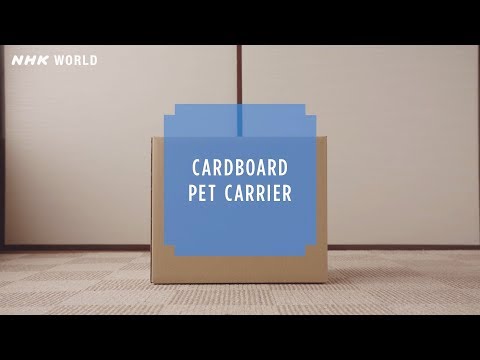 #23 Cardboard pet carrier - HOW TO CRAFT SAFETY