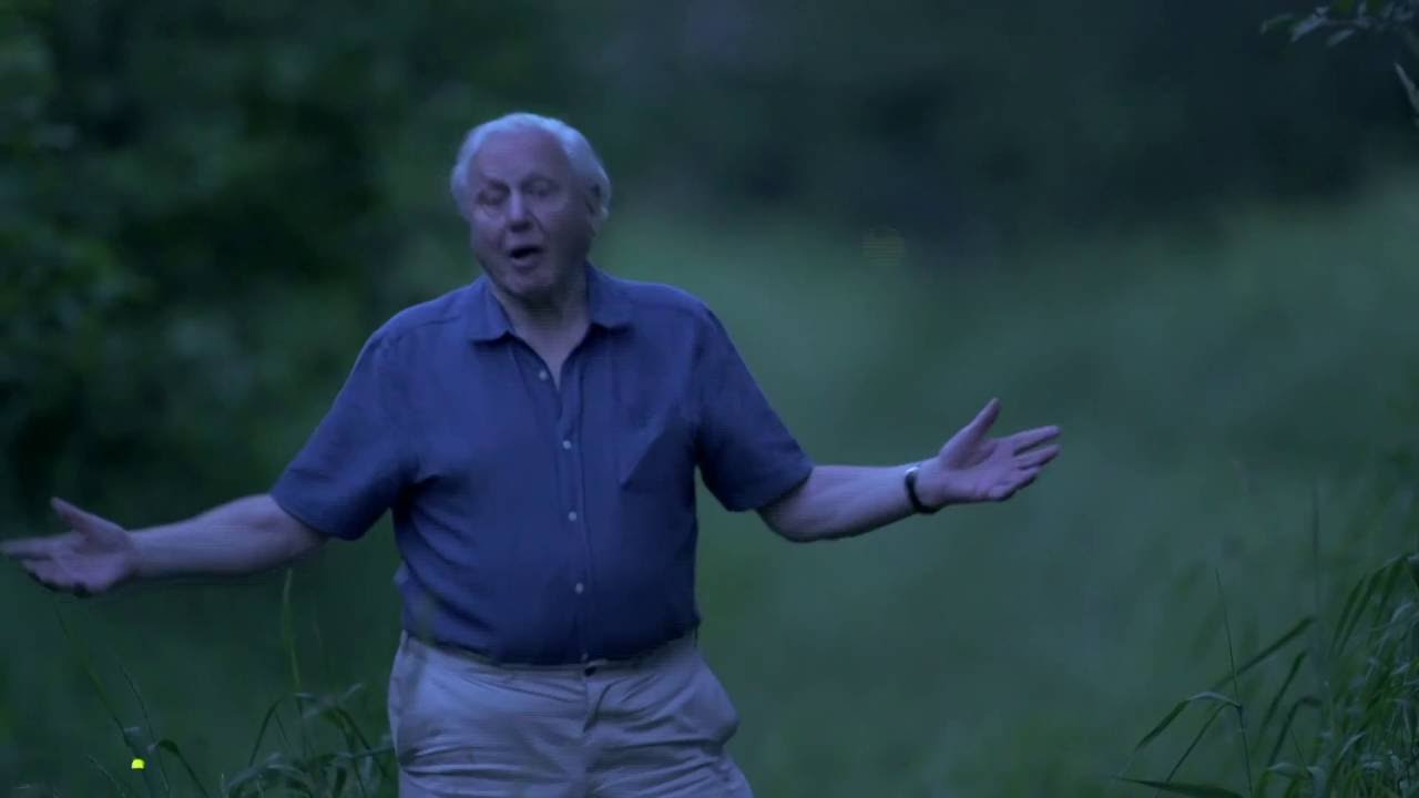 David Attenborough's Light on Earth