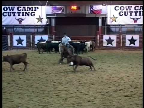 Clay Volmer & Merlenas Cat