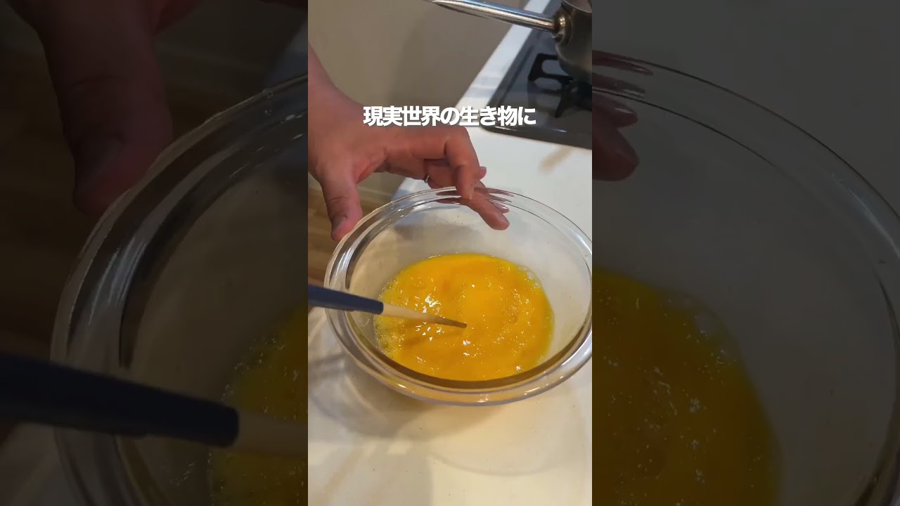 【ワンオペパッパ】鶏そぼろ弁当を作る、妻のしもべ #とっくん #料理 #声真似 #鶏そぼろ #弁当 #育児