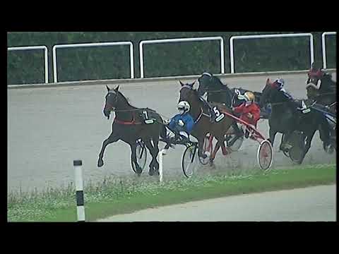 Napoli Trotto 28/11/2021 - 1ª corsa