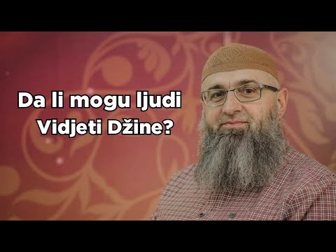 Da li ljudi mogu vidjeti Džine? - dr. Safet Kuduzović
