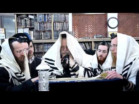 Purim 5776 In Modzitz