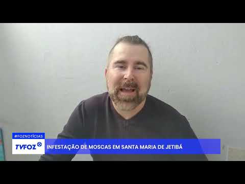 Infestação de moscas em Santa Maria de Jetibá
