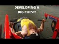 INTENSE PECTORALIS WORKOUT|With Full Details