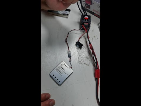 SURPASS HOBBY Program Card