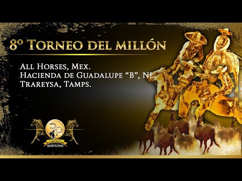 8º Torneo del Millón -  D4CH3