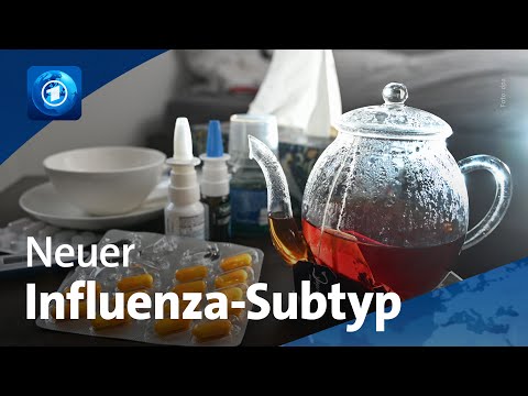 Grippesaison: neuer Influenza-Subtyp