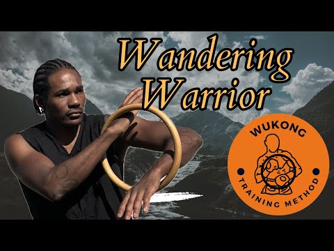 Wandering Warrior Update - Wukong Wilson