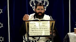 דף היומי שבועות דף מ' ע"ב ¤ הרב נתנאל אברז'ל ¤ בית הכנסת "בית מרדכי" (מוסדות תורת דוד) - התמונה מוצגת ישירות מתוך אתר האינטרנט יוטיוב. זכויות היוצרים בתמונה שייכות ליוצרה. קישור קרדיט למקור התוכן נמצא בתוך דף הסרטון