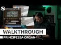 Video 1: Walkthrough: Principessa Organ
