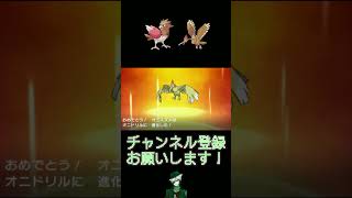 【色違い】#8 オニスズメ系統編【30th】