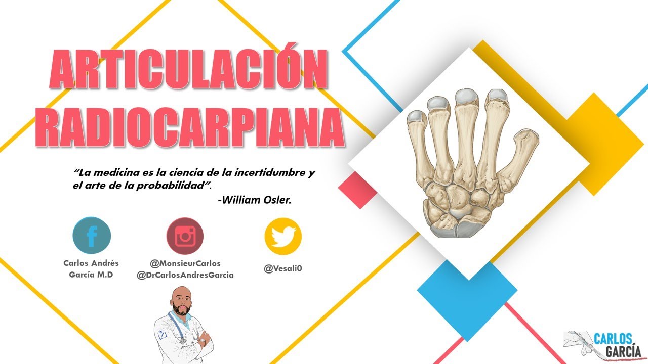 Anatomía - Articulación Radiocarpiana (Superficies articulares, Ligamentos)