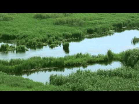 Lagune costiere in Delta Dunarii