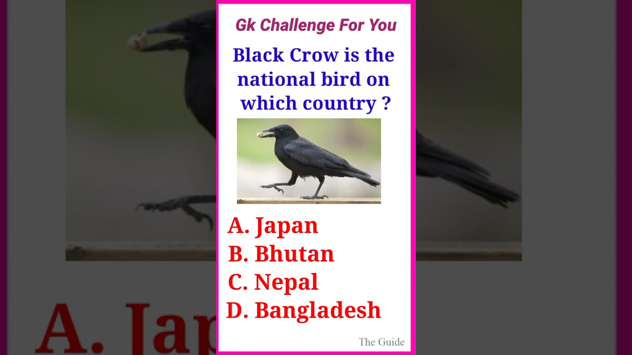 gk questions | gk in English | quiz questions | general knowledge English | Gk | English quiz | S11