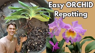 ORCHIDS - Easy Repotting Tutorial