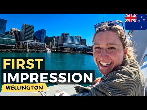 WE DID NOT EXPECT THIS Wellington First Impression New Zealand 🇳🇿