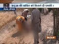 Haryana: Body of 8-year-old girl found in a bag in Rohtak