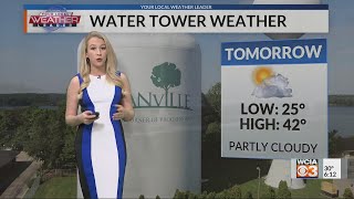 Amelia's Forecast