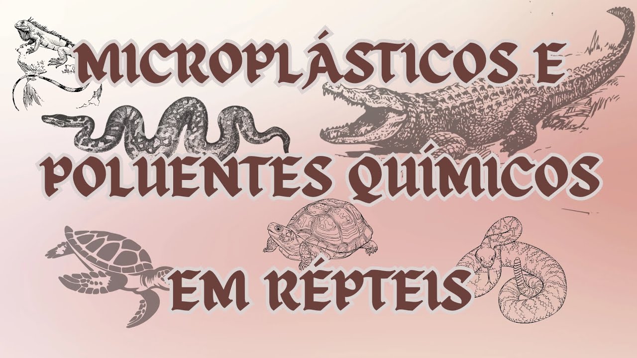Microplásticos e poluentes químicos em répteis