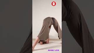 I'm starting to feel strong in this forearm stand variation #yoga #yogagirl #yogapractice