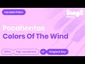 Paint With All The Colors Of The Wind Karaoke
