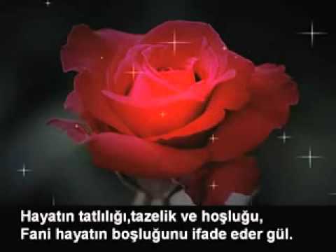 YASiR MAVZEROGLU - EY SULTANIM