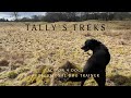 Tally S Treks Close Quarter Control