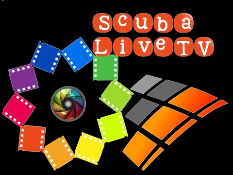 Never Fall in Love with a Scuba Diver