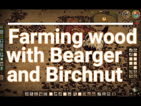 Don´t Starve Together - DST - Wood farming with Bearger and Birchnut - Best way to farm wood in DST