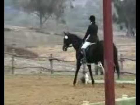 DCD Lucian El Cap Dressage_Test 1_100205