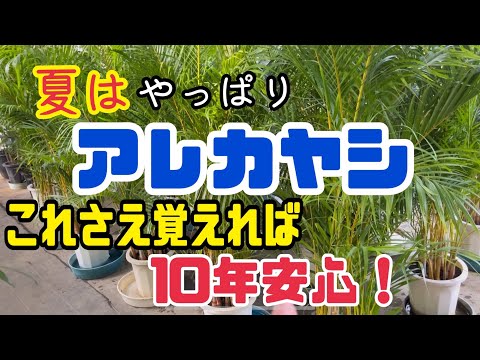 園芸 三面ヤシ、三角ヤシ