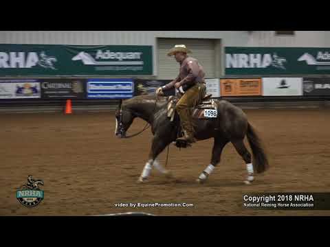 Little Brother Gun ridden by Sam L Schaffhauser  - 2018 NRHA Derby (Nov. Horse Open, Show 2)