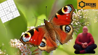 A Beautiful Creation