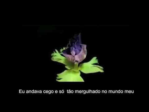 💕🎉 CANÇÃO DA AMIZADE🎉💕