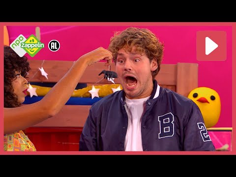 IK DURF ALLES💪 | Zin in Zappelin  | NPO Zappelin