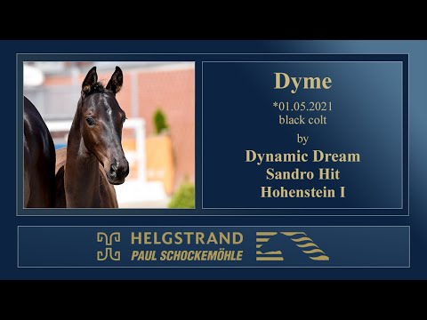 15 Dyme by Dynamic Dream - Sandro Hit - Hohenstein I