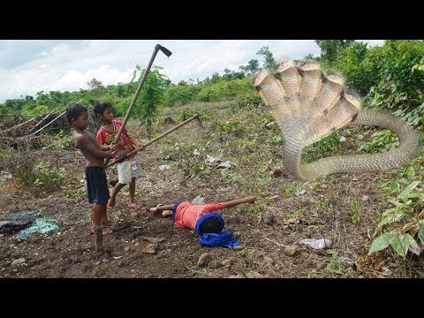 ( 100% Real Life ) Four Brave Children Catch Snake By Hand