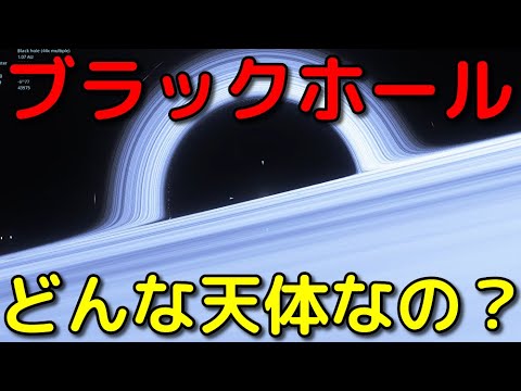 ブラキセラについて詳しく解説