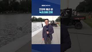 미국은 언제나 한국보다 한 발 늦군