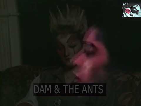 Adam & The Ants - 'Lou' (BBC Session 1978)