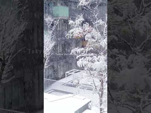 Tokyo Polytechnic University（short.）