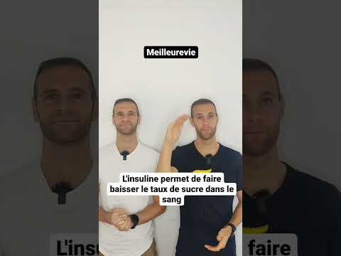 Le pancréas c'est quoi et à quoi ça sert