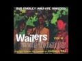 The Wailers Band - Kick The Habit