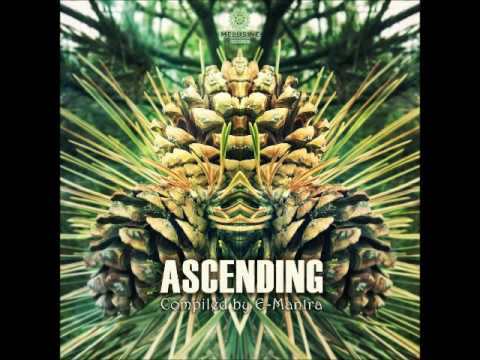 Logical Elements - Flower Nebula