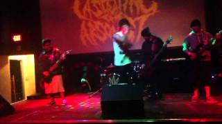 Castrating The Arsonist - Brothers Till The End