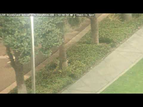 Live webcam of Disneyland Cam
