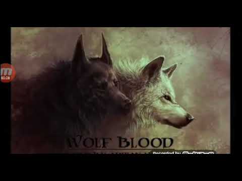 Qeza boss ft əqrəb 777-qarabag bizimdi