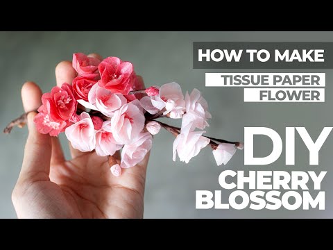 How To Make Cherry Blossom Paper Flower - Tissue Paper Flower - AMY DIY CRAFT