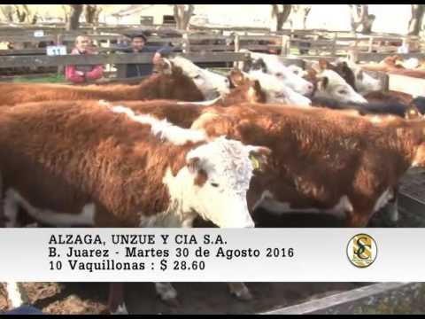 30-08-16 Venta de Gordo - Alzaga, Unzue y Cia S.A. - B. Juarez.